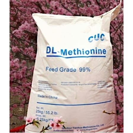 WhatsApp Image 2025-02-09 at 19.06.37 (1)